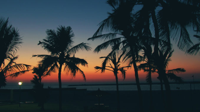 banner-31